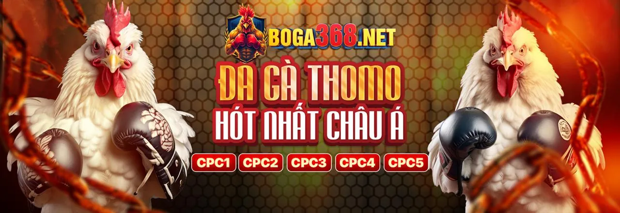 Các tính năng đa dạng của ứng dụng JUN88 bao gồm cá cược thể thao và casino